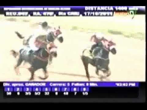 Resumen Lunes, 17 de Octubre de 2011 - Rancho Alegre