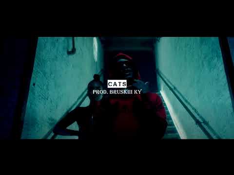 Frosty x Unknown T x CB x UK Drill Type Beat - "CATS" [Prod. @bruskiii_ky]