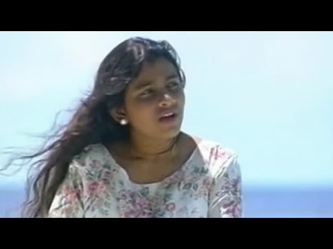 Umar, Shifa - Feninulaa