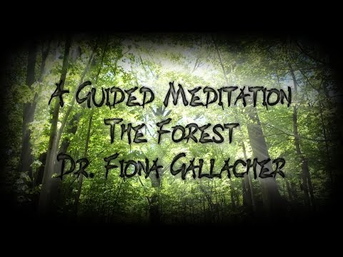GUIDED VISUALIZATION - A WALK IN THE FOREST - DR. FIONA GALLACHER