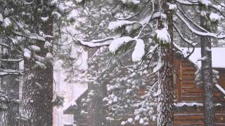 Lake Tahoe White Christmas by Willie Nelson