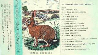 The Cleaners from Venus - Here She Crashes