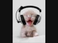 ELECTRO HOUSE MIX GIL VON DE