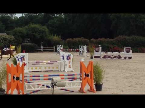 Cool de Canteloup (CONRAD X ÉCHO DES FORÊTS ) CIR Auvers 2016 2eme jour