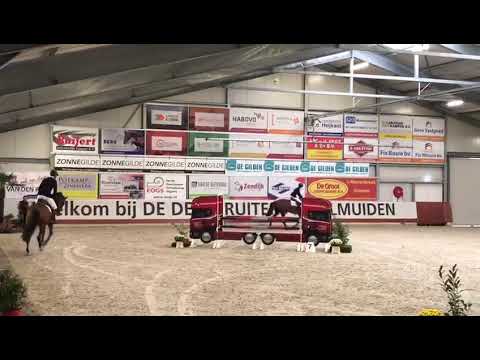 Klapper HBC (Arezzo VDL x Hold Up Premier)