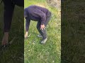 Video Thumbnail for Assiniboine River Sturgis
