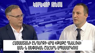 Հայաստանի ընդերքի վրա «թաթը դնելով»՝ ԱՄՆ-ն սեփական շահերն է սպասարկում․ Դավիթ Կարապետյան