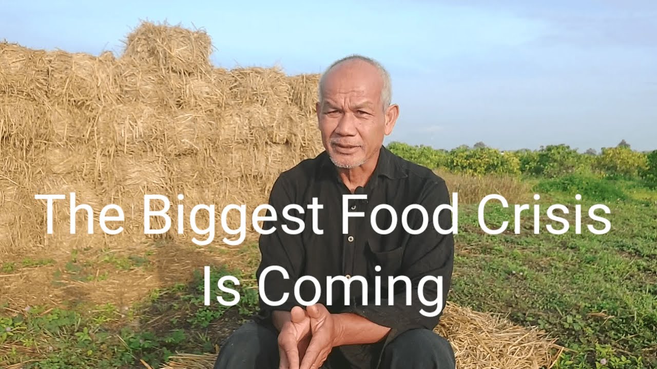 The Biggest Food Crisis Is Comming