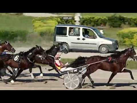 Aversa trotto 27 Maggio 2020 - 6° Corsa