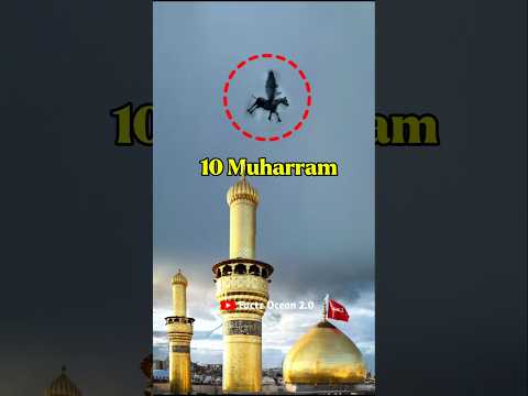 Miracle Of Imam Hussain! 😲