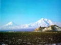 Թալիաթի մահը ( գինի լից) / Taliati mah@ ( Gini lic ) 