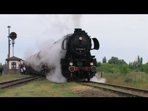 Dampflokomotiven im Bw Staßfurt - 1/3 - Steam Trains