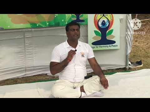 International Yoga Day 2024