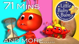 Ants Go Marching | And More Nursery Rhymes | From LittleBabyBum