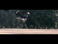 Young Lex - Lo Harus Grak