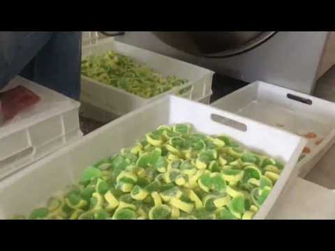 SRC Makine - Slice Jelly Injection Production Line