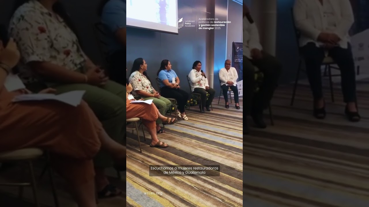 Aceleradora de Políticas de Restauración y Gestión Sostenible de Manglar