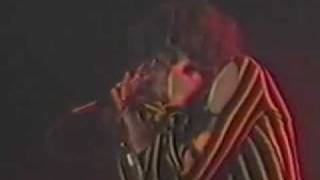Aerosmith Live - Milk Cow Blues - Jan 25, 1980 (Largo) Landover, MD Capitol Centre Pt.15