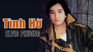 Tình Hờ Music Video