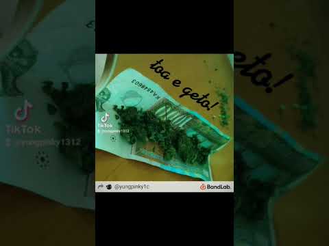 yungpinky (under) ( dEMO)