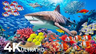 Dive Into the Mesmerizing Underwater Realm 🐬 Marvel at Sea Animal in T