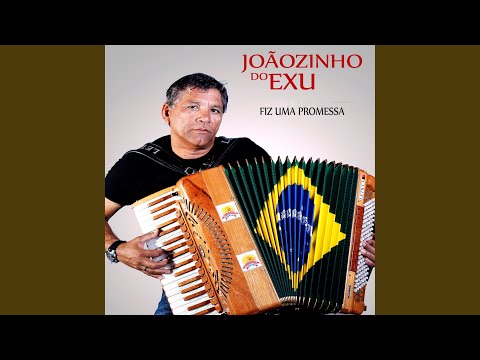 Você Não É Pra Mim - Joãozinho do Exú