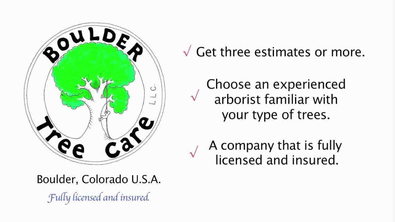 Tree service tips by Boulder Tree Care