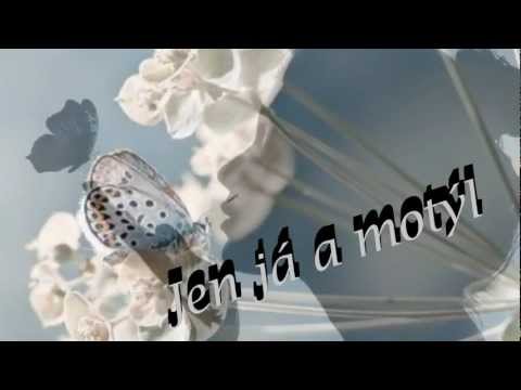 Iveta Bartošová - Jen já a motýl