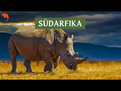 Südafrika Video Thumbnail