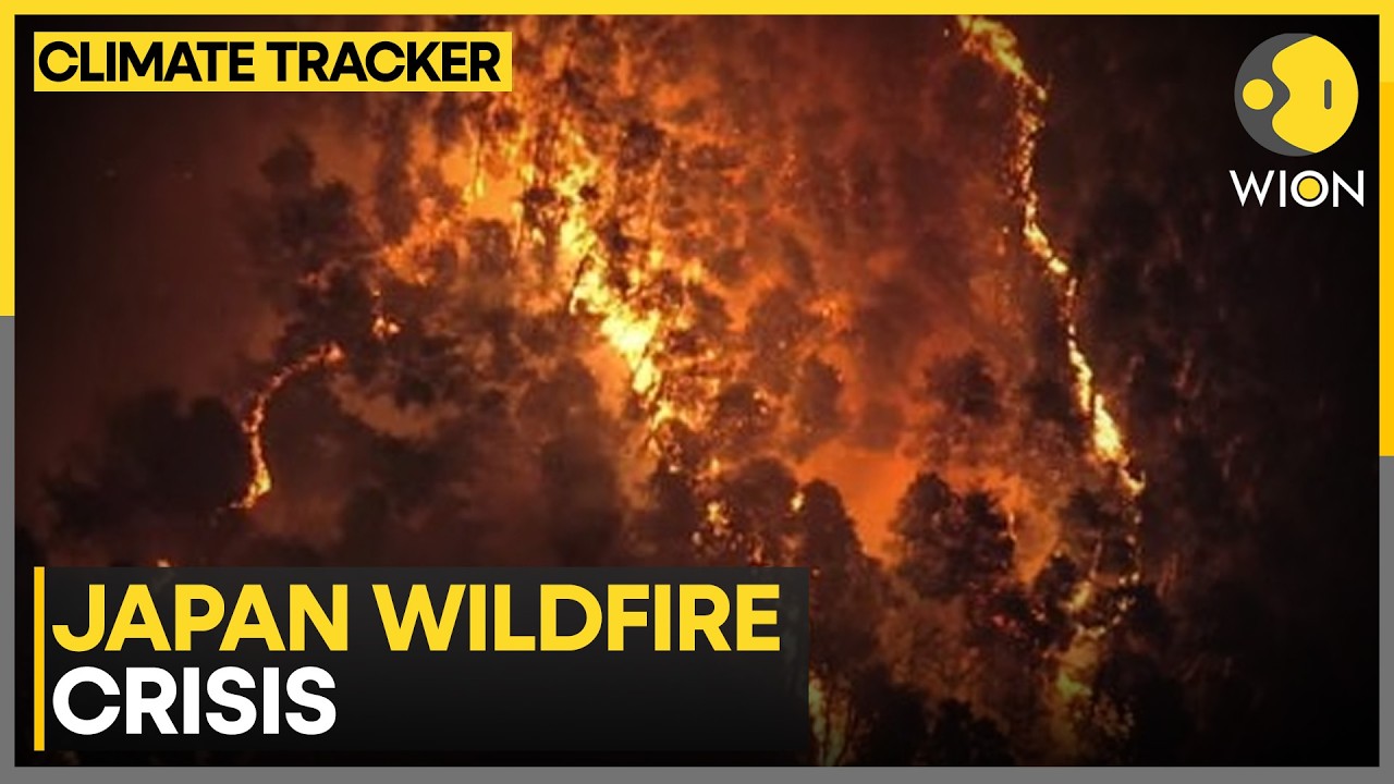 Japan Wildfire: Otsuchi Under Evacuation Order | WION Climate Tracker