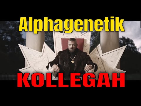 Kollegah - Alphagenetik I REACTION/ONE.TAKE.ANALYSE
