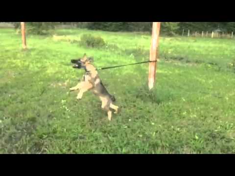 Jagira Aykmar - 3,5 months