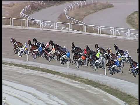 Trotto 17/01/2020 - 1ª corsa