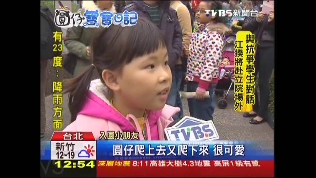 圓仔走出戶外見客 倒掛金鉤調皮玩
