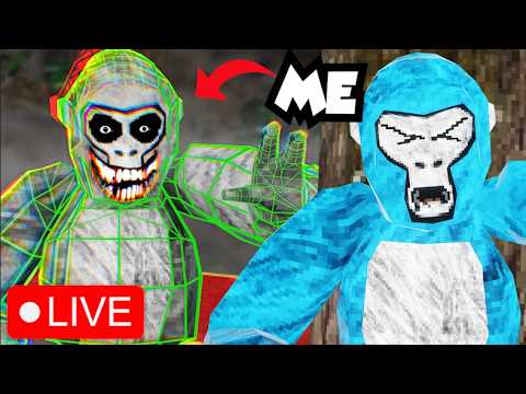 I Ghost Trolled Gorilla Tag Streamers...