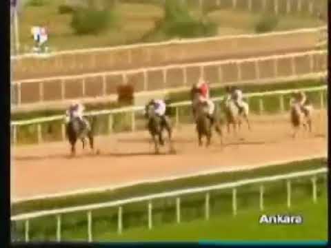 BABAARAT    23/08/2005          ANKARA