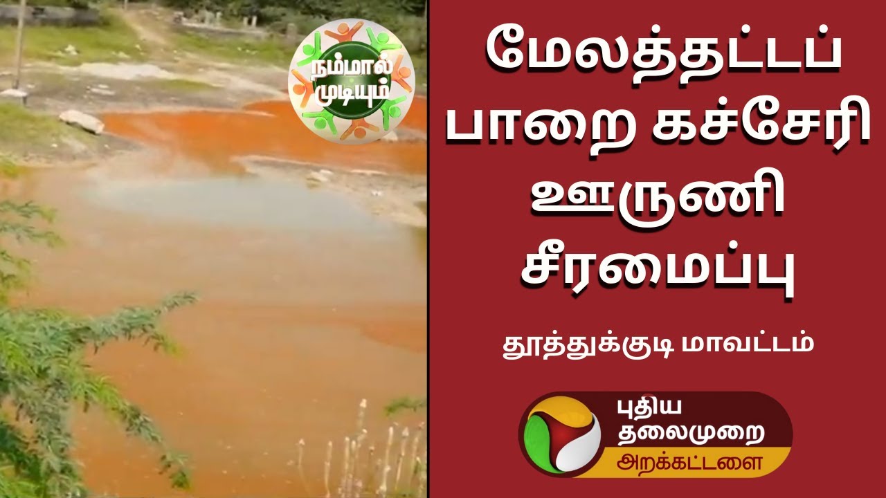 தூத்துக்குடி மேலத்தட்டப்பாறை கச்சேரி  ஊருணி சீரமைப்பு