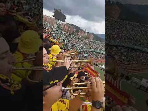 "Pereira nacional 26 de enero 2020" Barra: Lobo Sur &bull; Club: Pereira