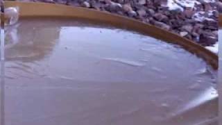 hated nikki cleary.wmv