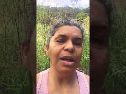 Devocional do dia 4 de outubro