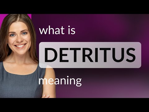 Detritus • DETRITUS meaning
