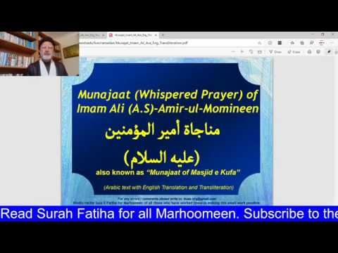 Explaining the amaal of laylatul qadr | URDU | 19th Ramadan | Maulana Syed Abbas Naqvi