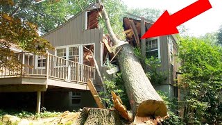Dangerous Idiots Tree Felling Fails With Chainsaw - Biggest Removal Fails Tree Falling On Houses