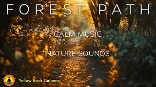 3 Hours of Relaxing Music for When You're Stuck In The City And Craving A Vacation In Nature