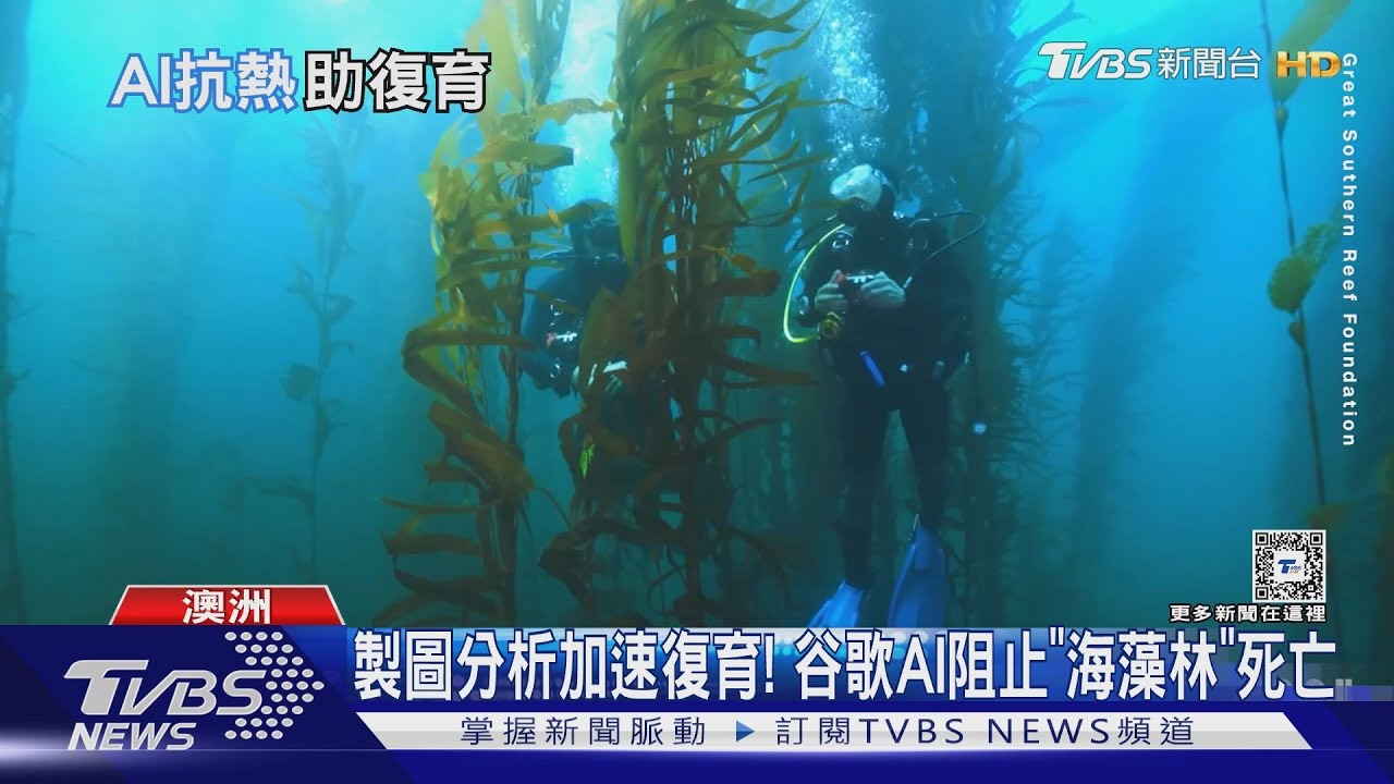 澳洲95%海藻林死亡!谷歌AI技術尋找抗熱基因