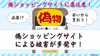 サムネイル:偽ショッピングサイトに要注意！（YouTubeへ移動します）