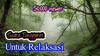 Download lagu Suara tonggeret,jangkrik,walang kecek untuk terapi tidur mp3
