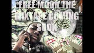 Boss Bird MOON -SCREENS GO GLO