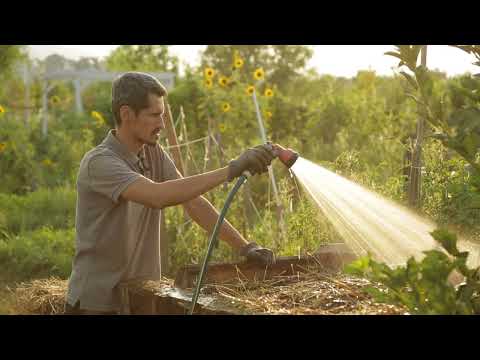 Berkeley Hot Compost