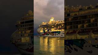 Norwegian Jewel 🛳️ #travel #travelshorts #subscribe #cruiseship #cruise #vacation #shorts #short